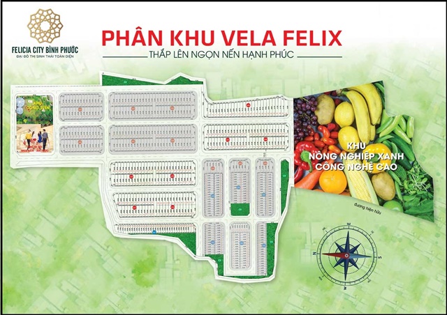 Khu Vela Felix Dự án Felicia City